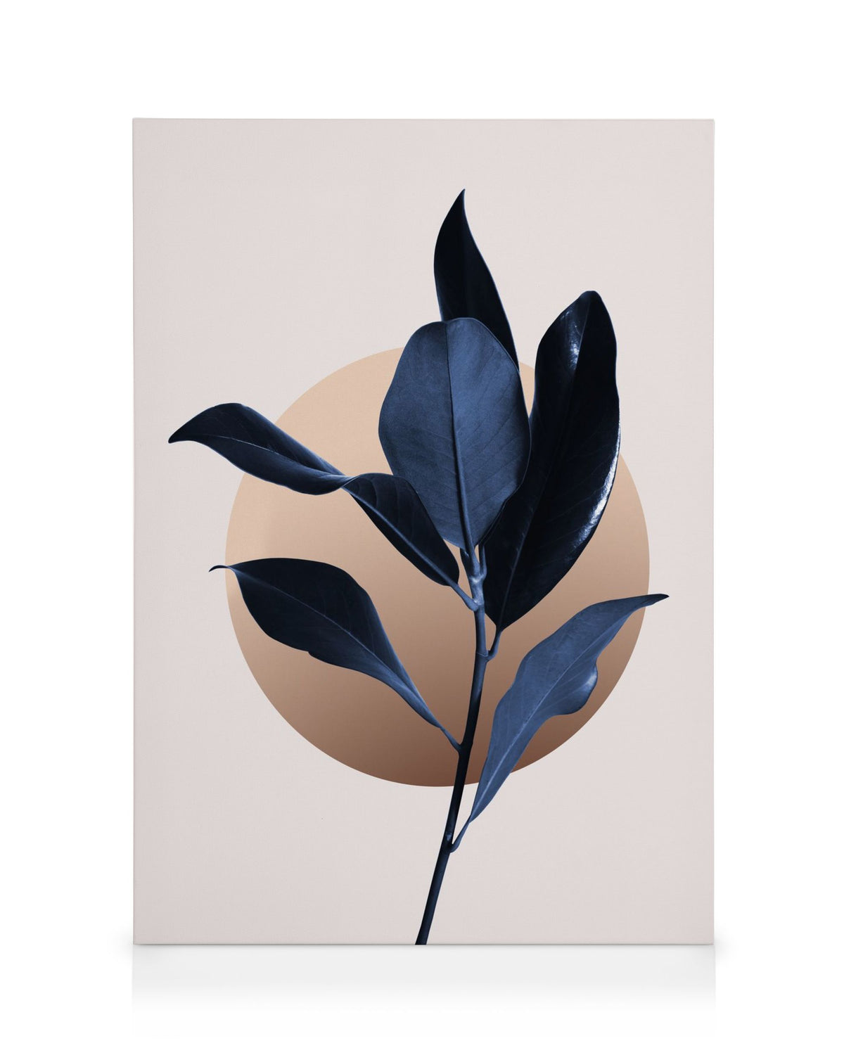 Blue Magnolia No2 Canvas print