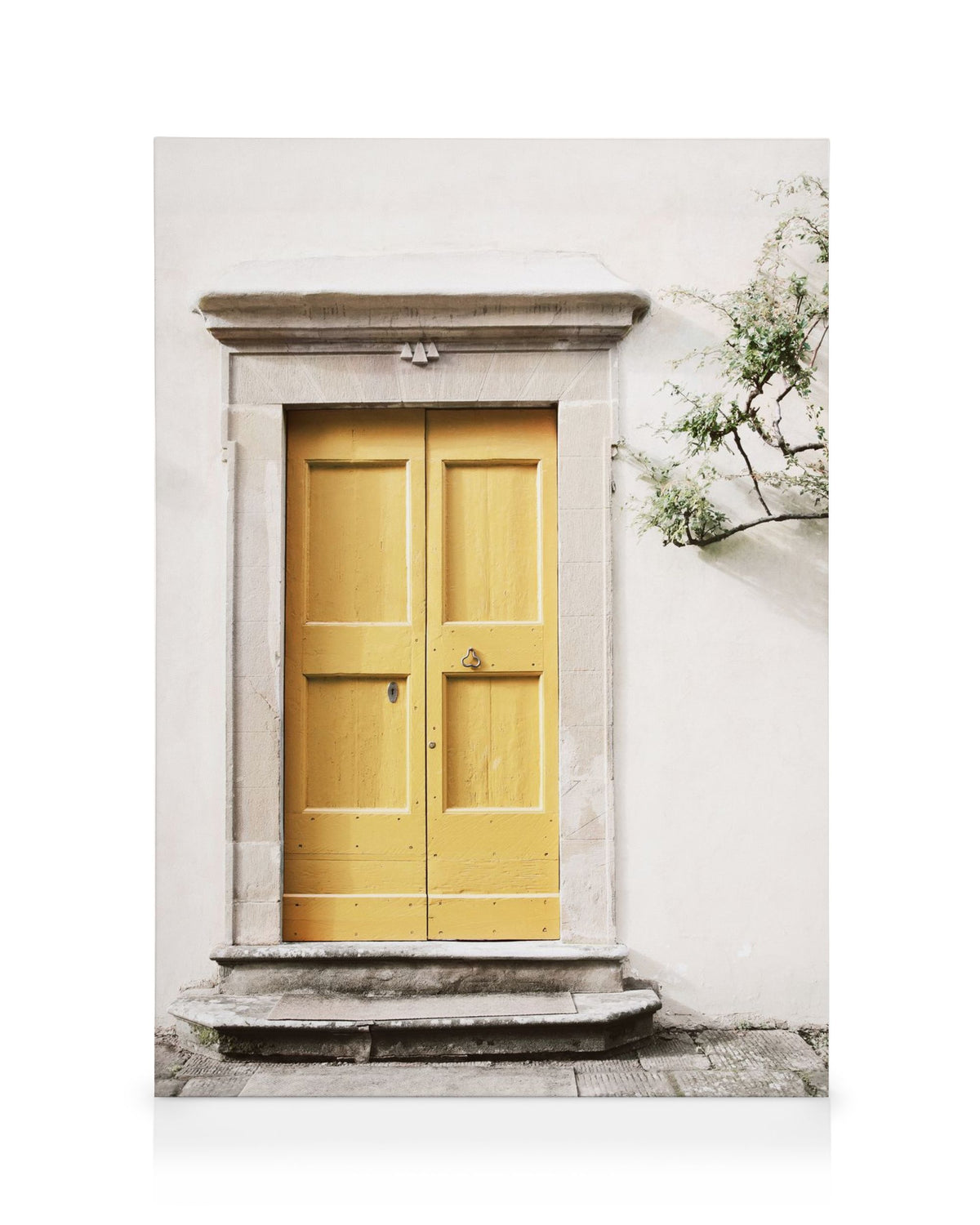 Yellow Door Canvas print