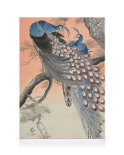 Ohara Koson - Two Peacocks on Tree Branch Canvas print