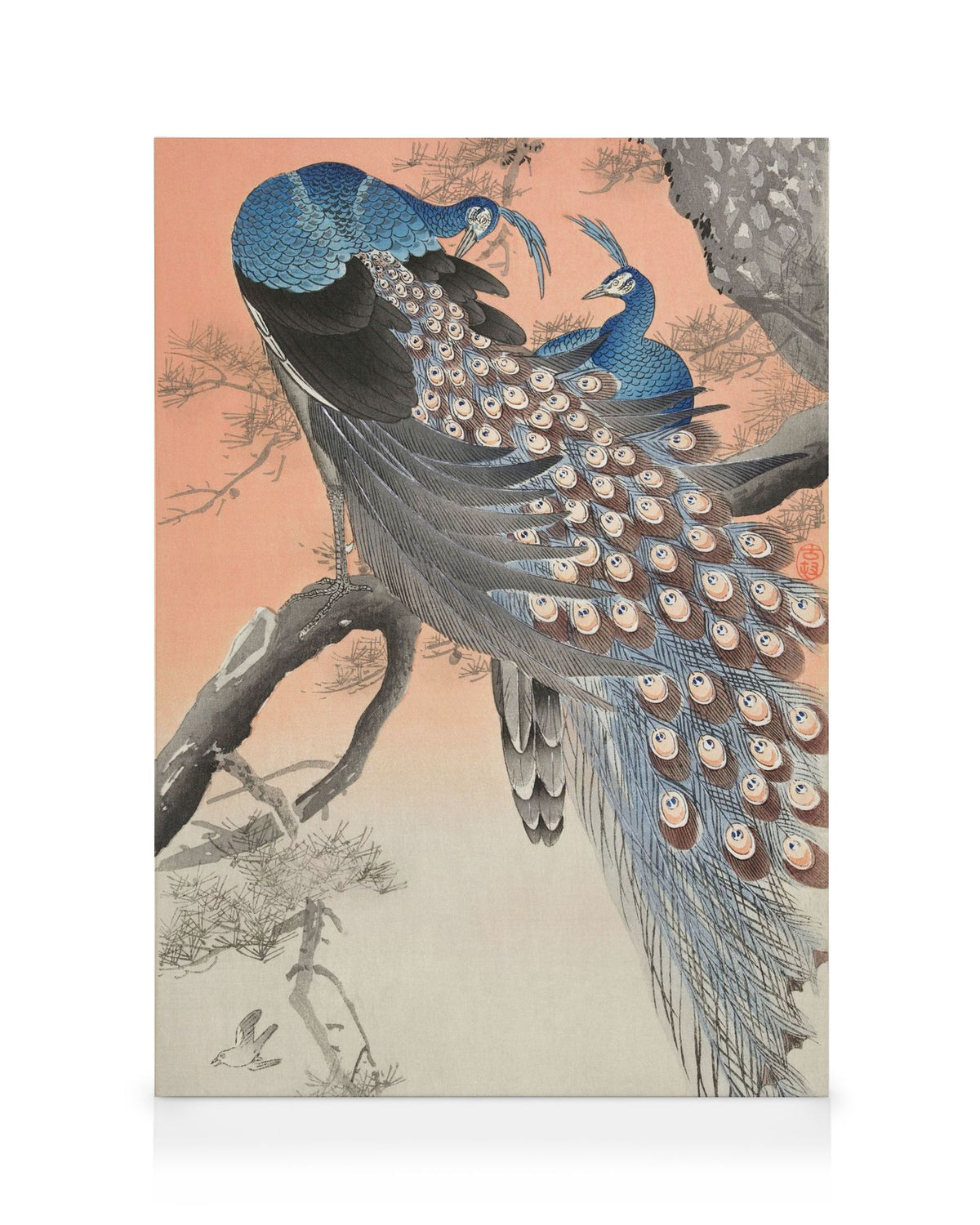 Ohara Koson - Two Peacocks on Tree Branch Canvas print
