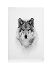 Wolf Canvas print