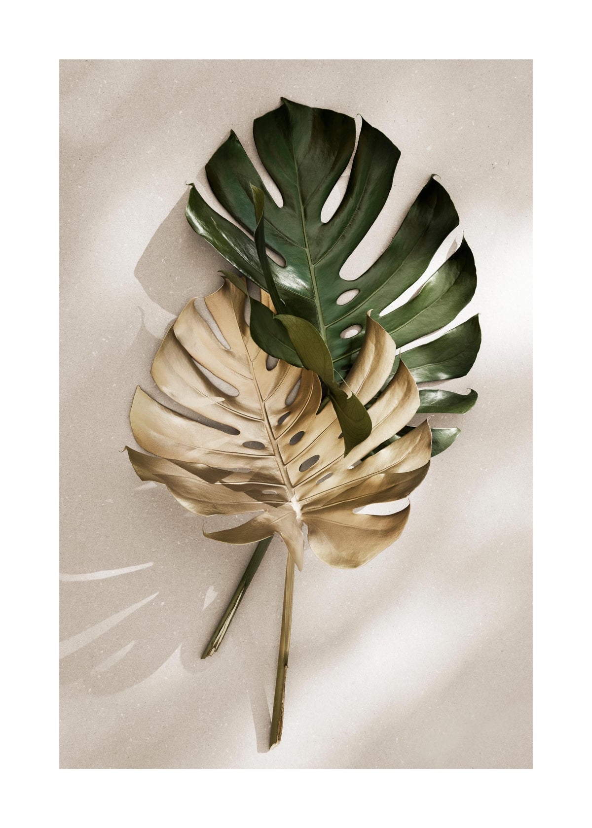 Gold Monstera No1 Print