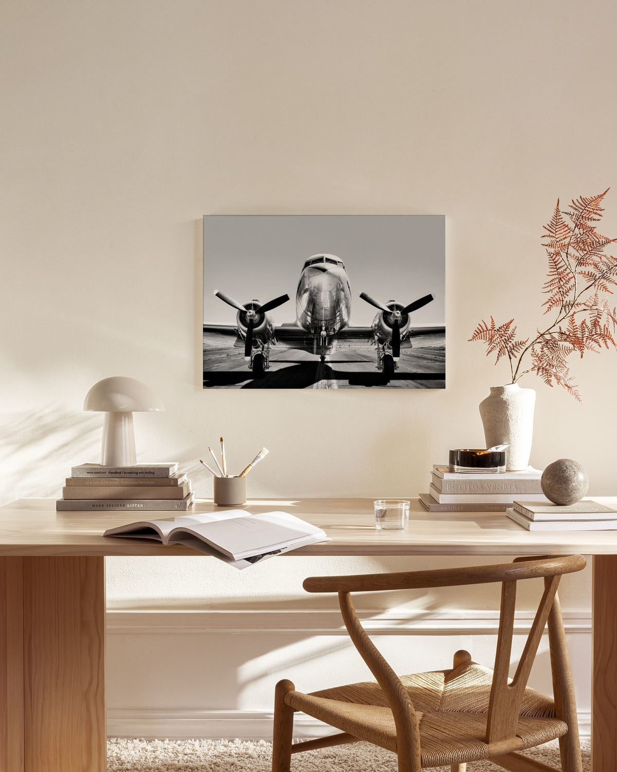 Vintage Airplane Canvas print