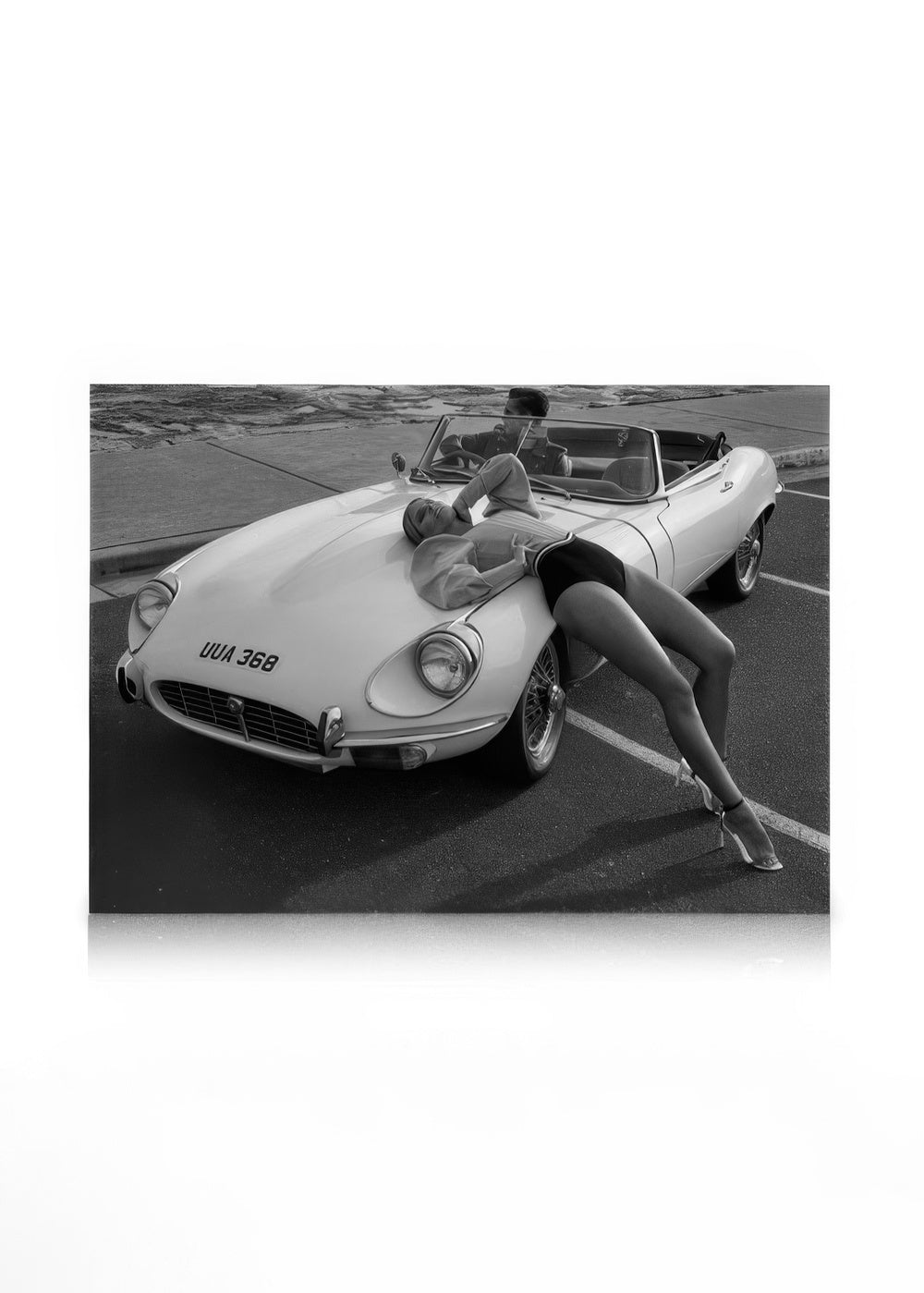 Taking a Break Canvas print