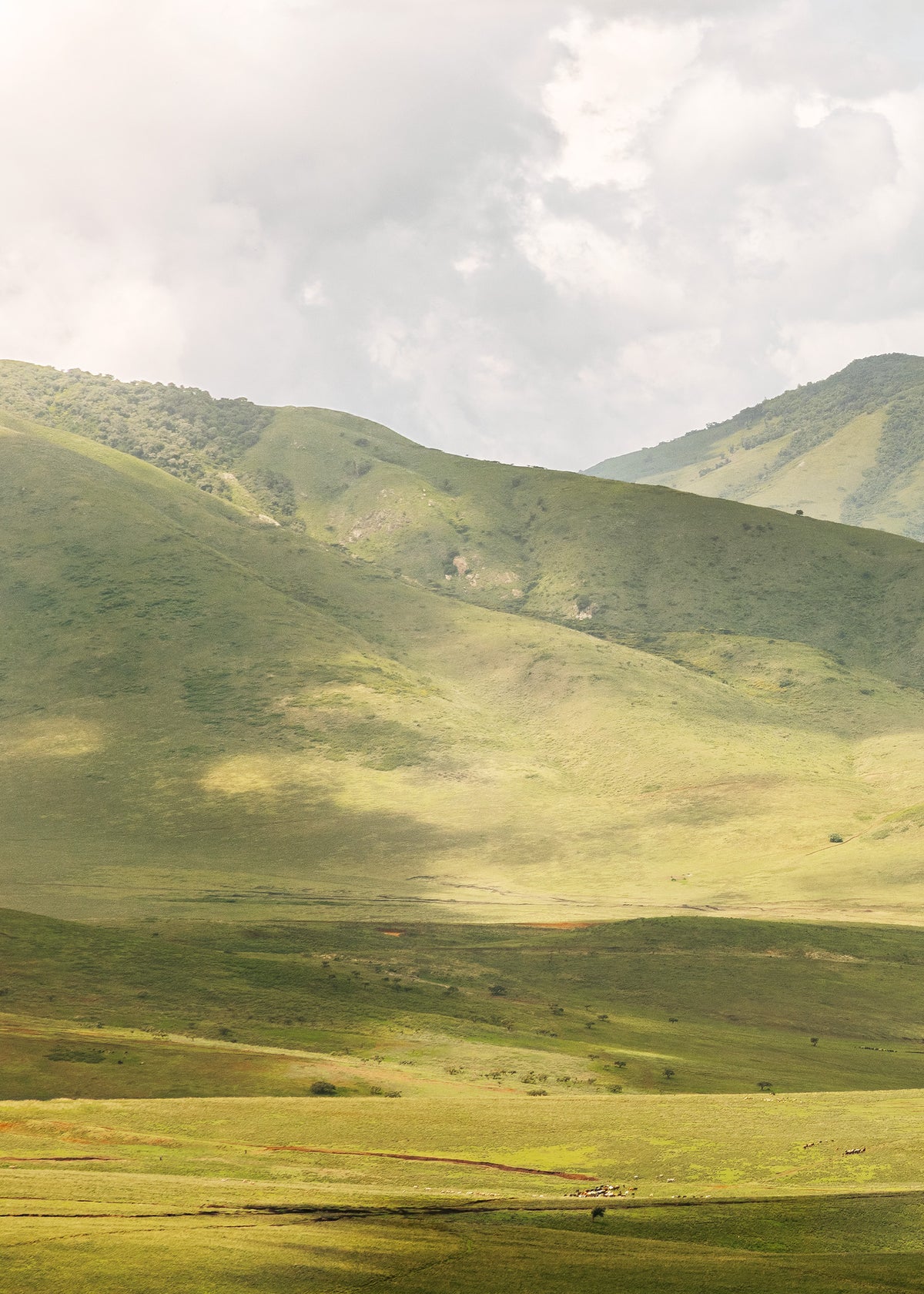 Highlands No1 Print