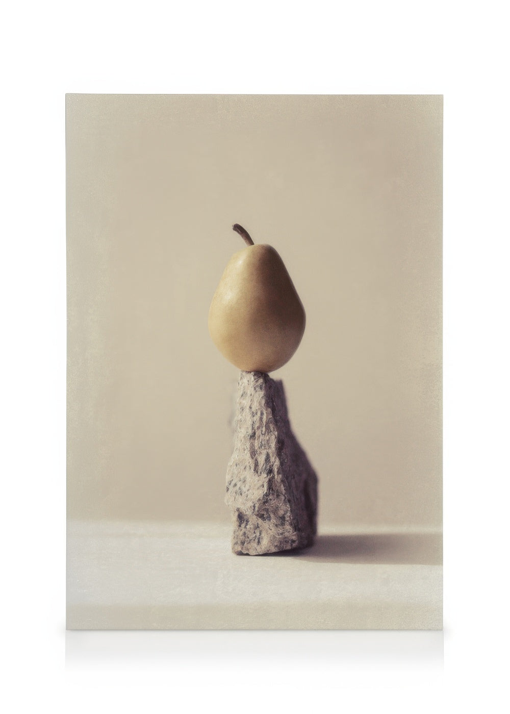 Still Life Pear No2 Canvas print
