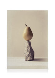 Still Life Pear No2 Canvas print