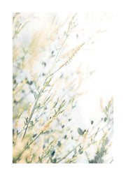 Light Floral Print