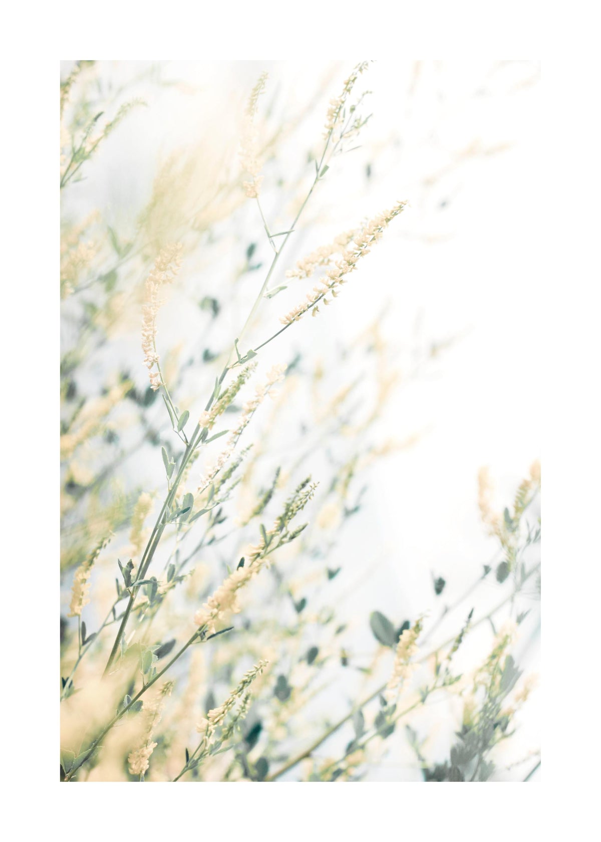 Light Floral Print