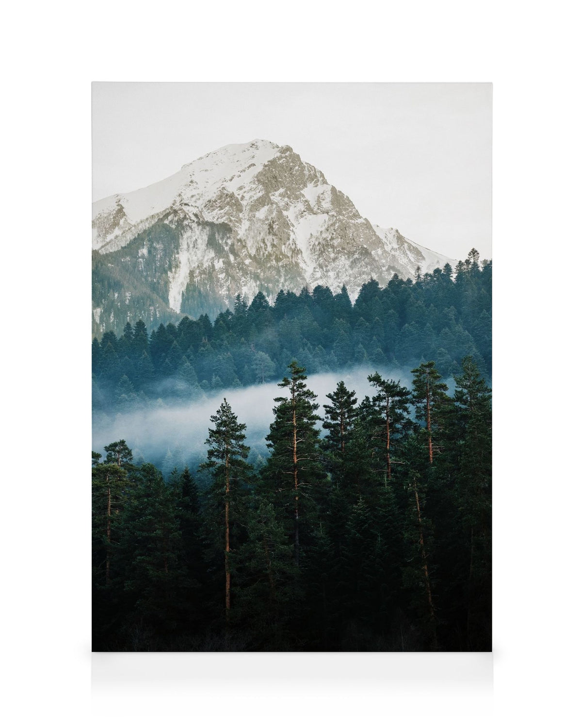 Mountain and Forest Canvas print