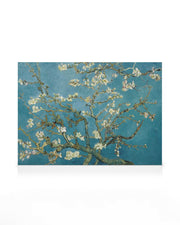 Van Gogh - Almond Blossom Canvas print