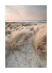 Calm Sand Dunes Print