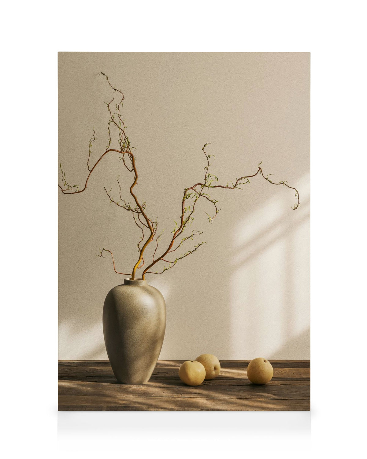 Soft Noon Canvas print