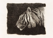 August Le Gras - Tiger Print