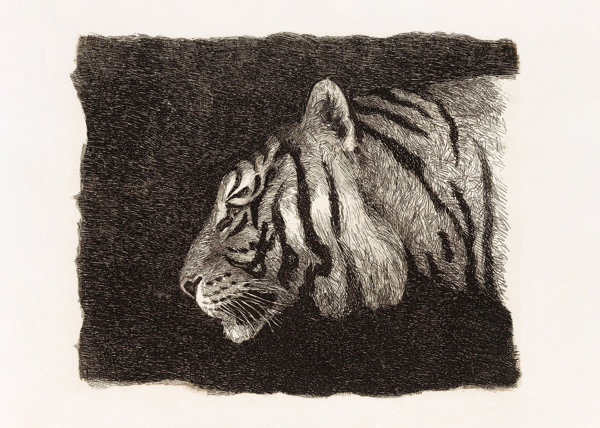 August Le Gras - Tiger Print