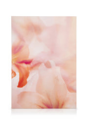 Coral Lily No2 Canvas print