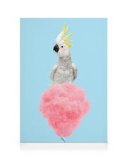 Cotton Candy Cockatoo Canvas print