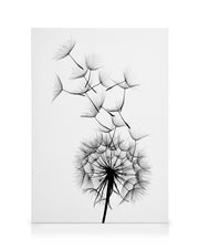 Dandelion No2 Canvas print