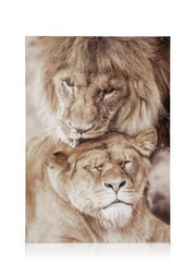 Lion Love Canvas print