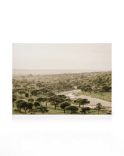 African Wilderness Canvas print