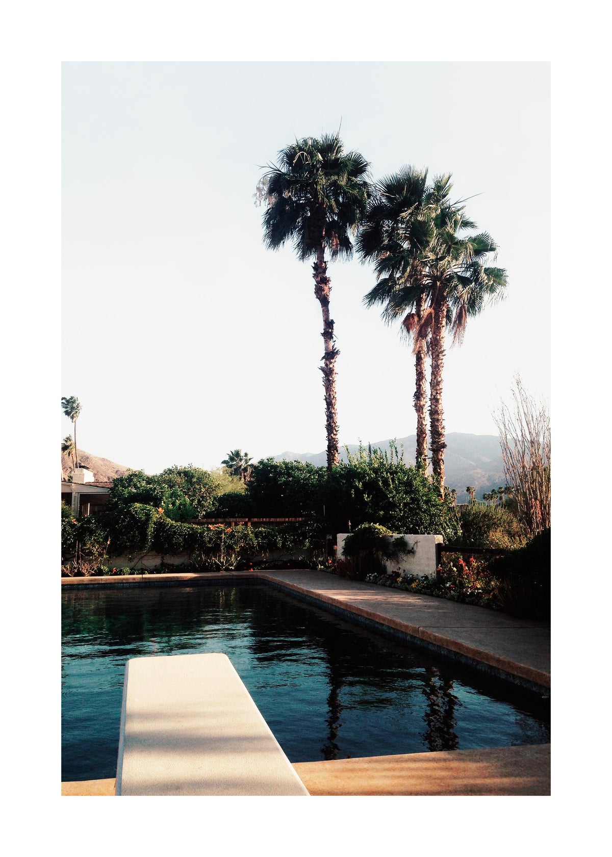 Palm Springs Pool Print