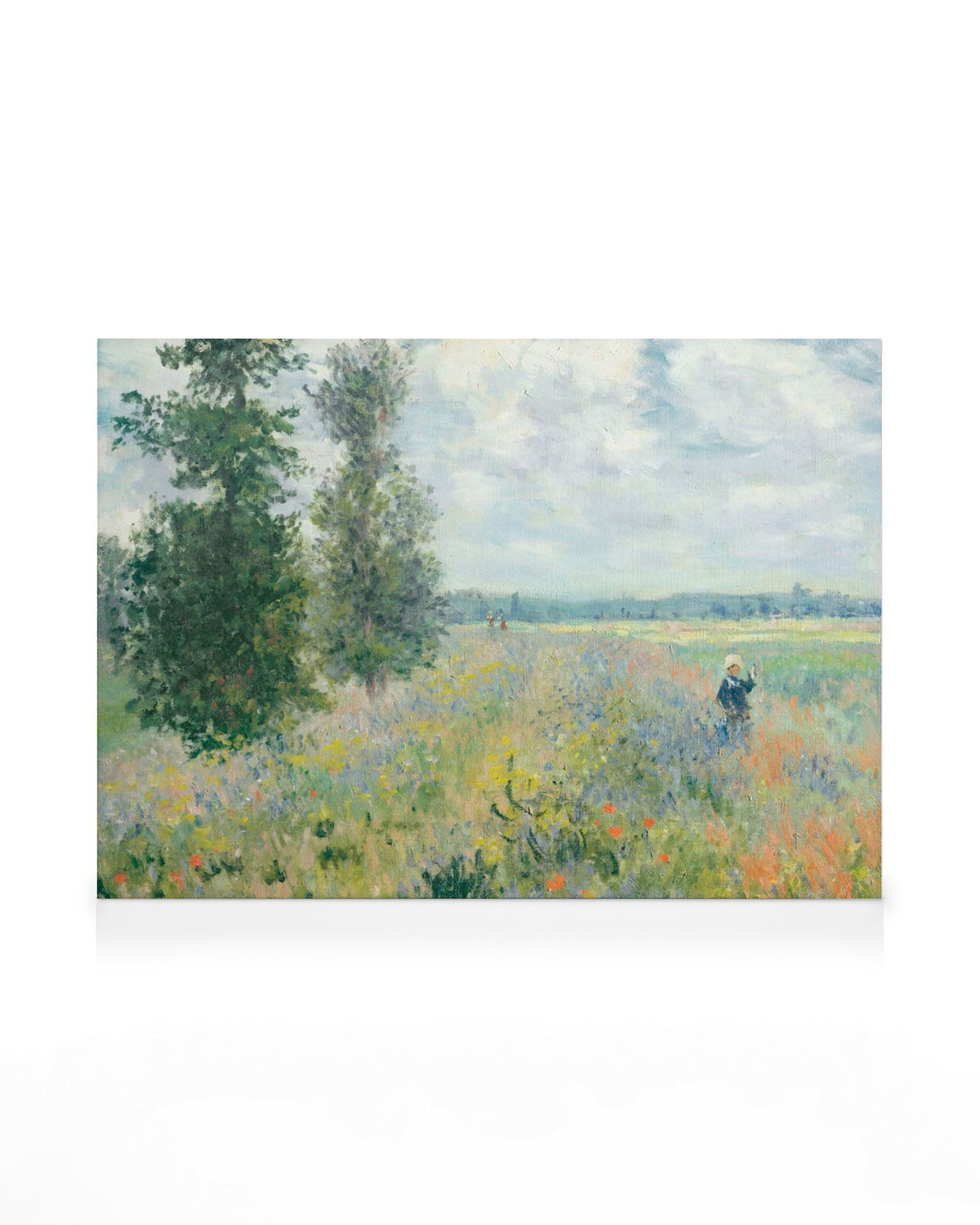 Monet - Poppy Fields Near Argenteuil Landscape Canvas print
