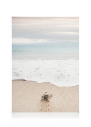 Turtle on the Beach Canvas print