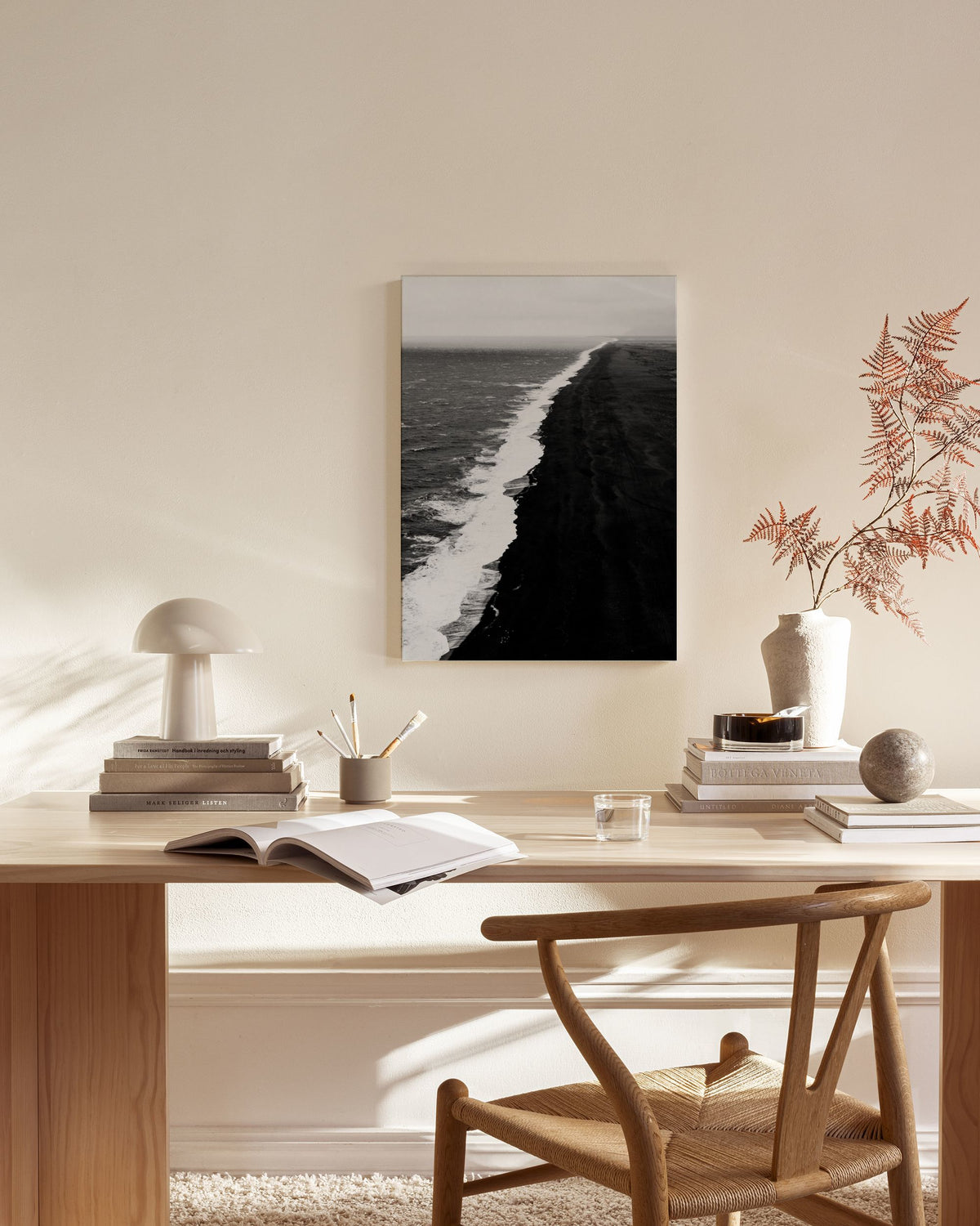 Black Beach Aerial Canvas print