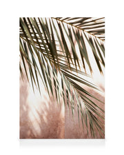 Pink Shadow Canvas print