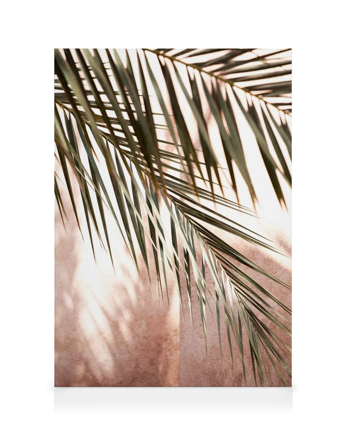 Pink Shadow Canvas print