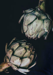Artichokes Print