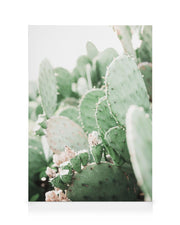 Prickly Pear Cactus Canvas print