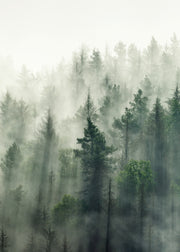 Forest Veil No2 Print