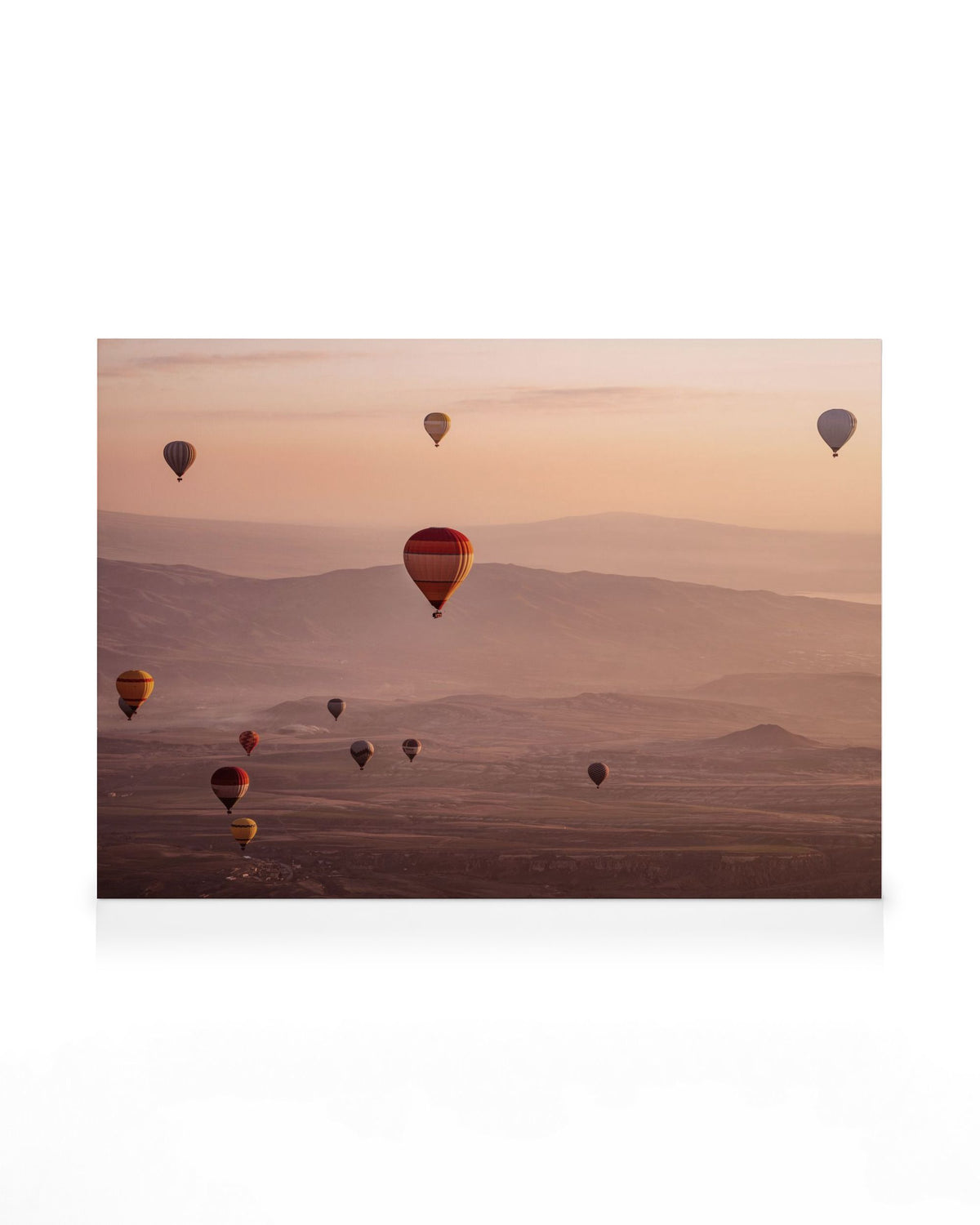 Pink Haze Canvas print