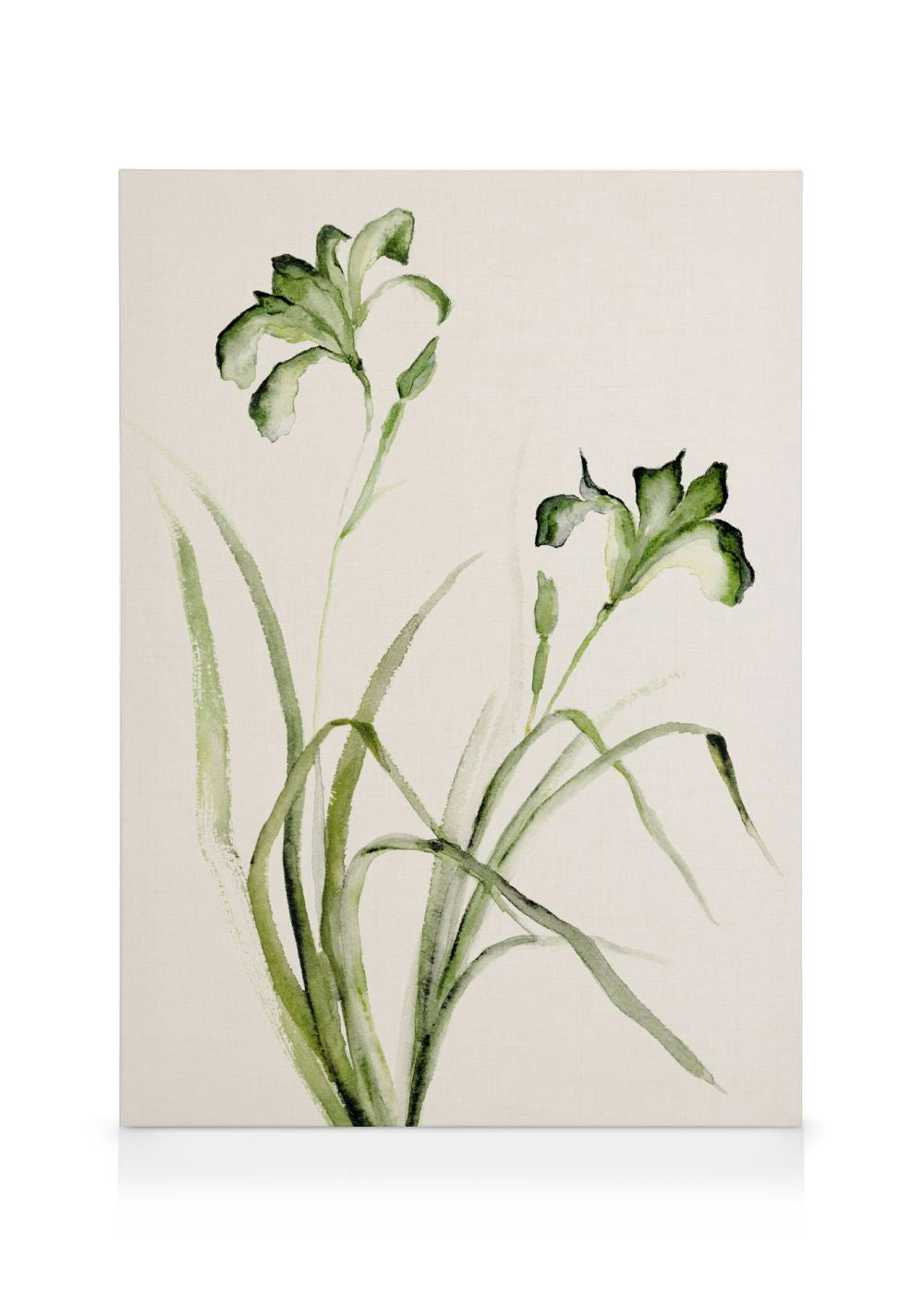 Watercolor Irises Canvas print