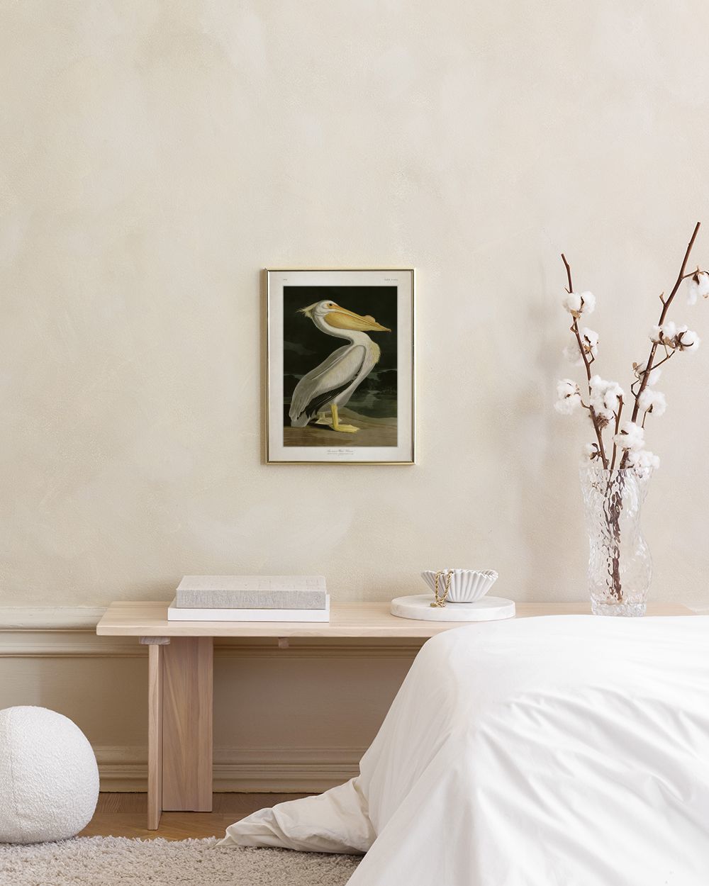 American White Pelican Print