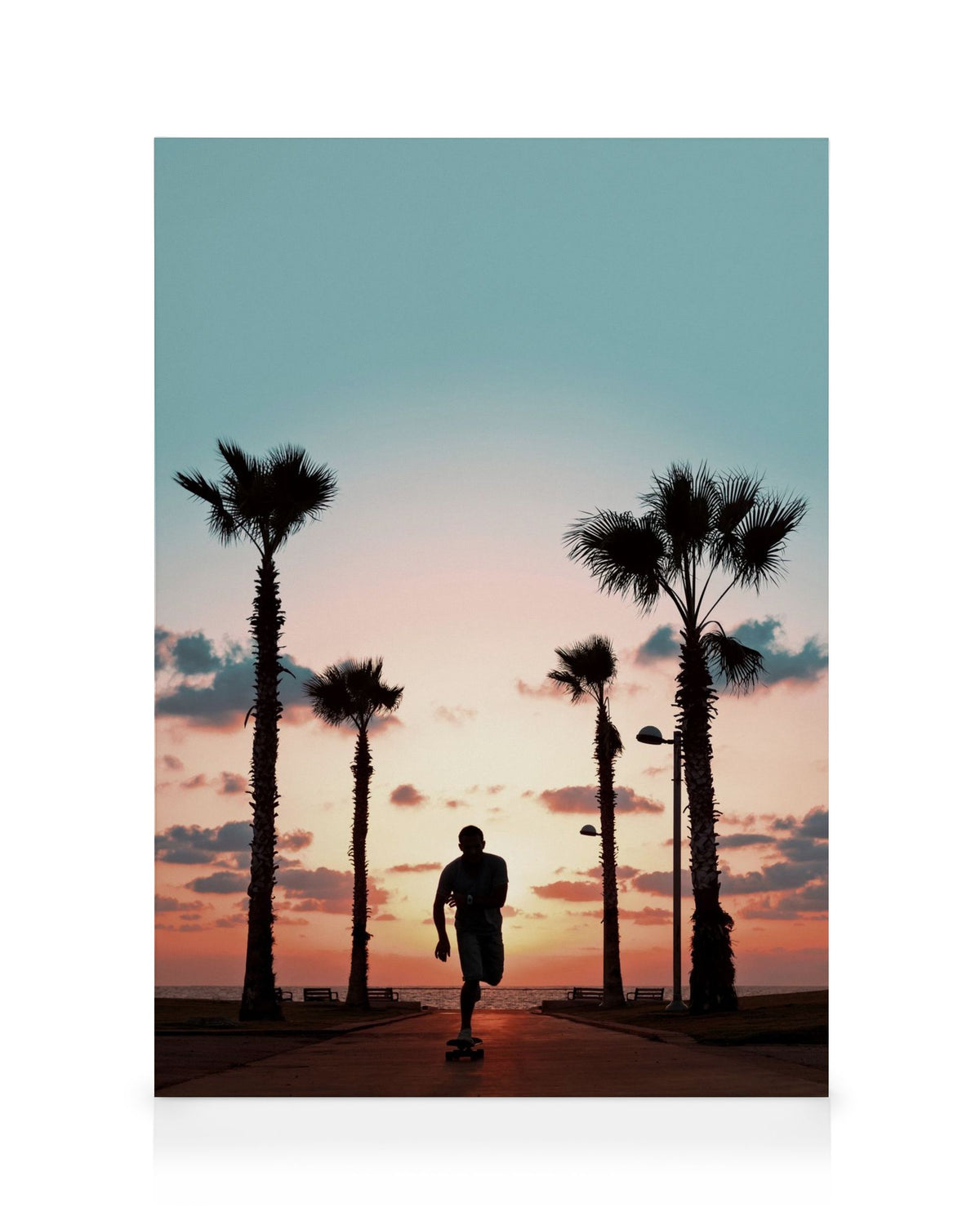 Sunset Skate Canvas print