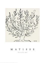 Matisse - The Plane Tree Print
