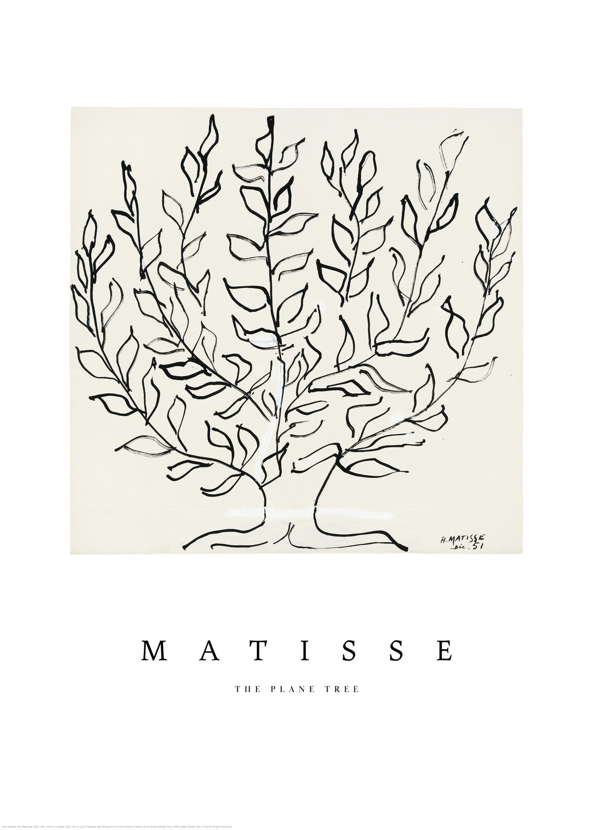 Matisse - The Plane Tree Print