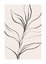 Botanical Lines Print