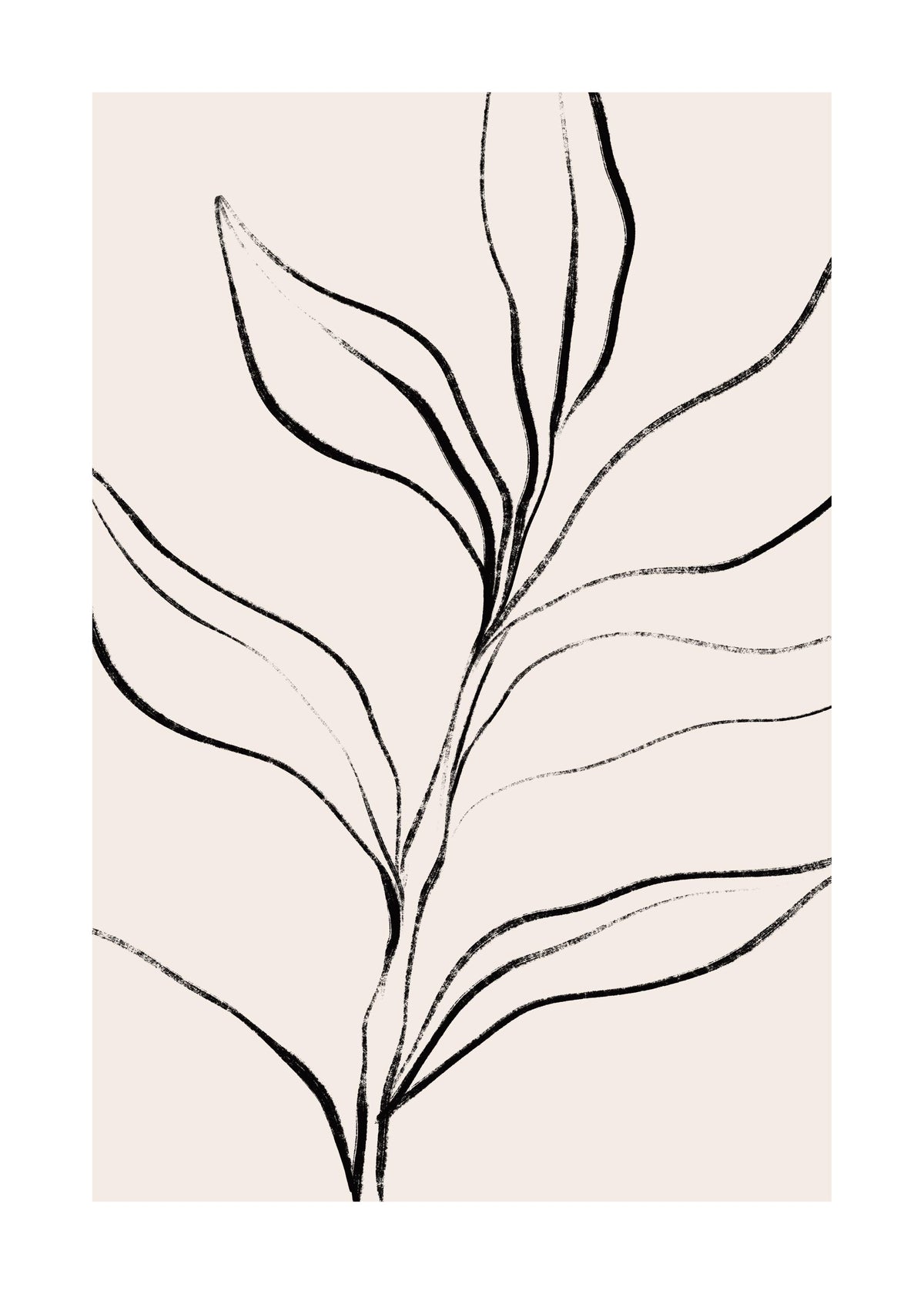 Botanical Lines Print
