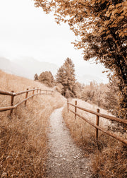 Path to Home Print