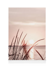 Sunset Grass Canvas print