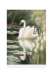 Majestic Swan Canvas