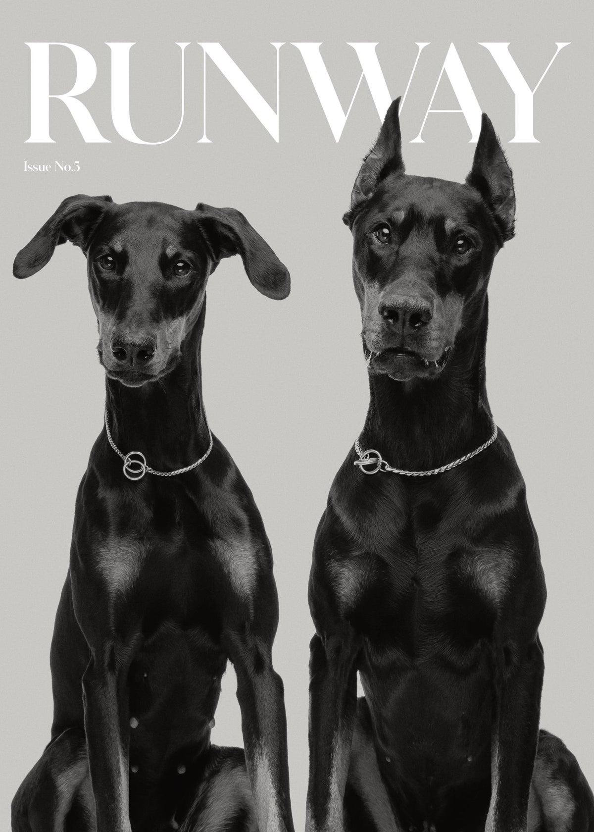 Runway Dogs Print