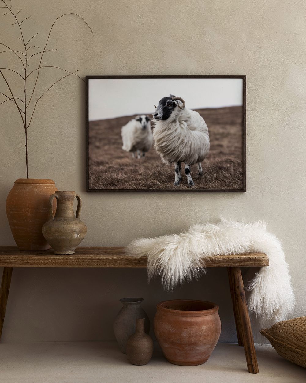 Sheep Print