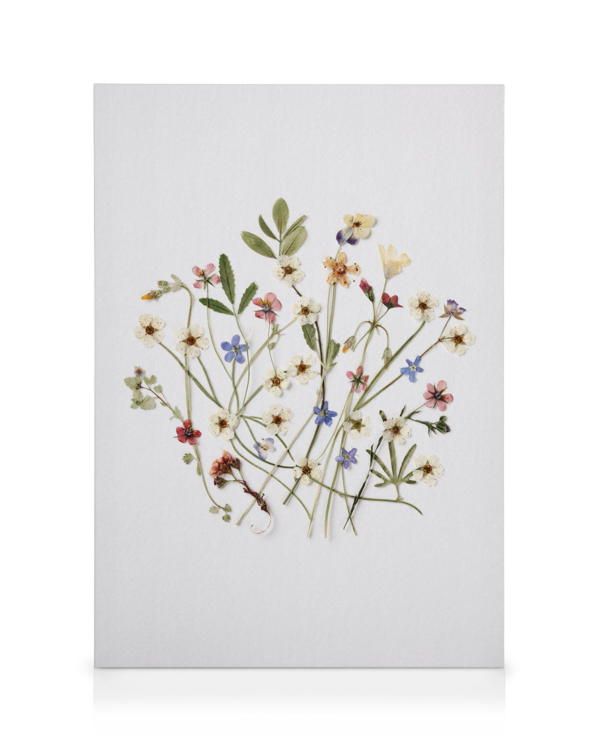 Pressed Bouquet Canvas print