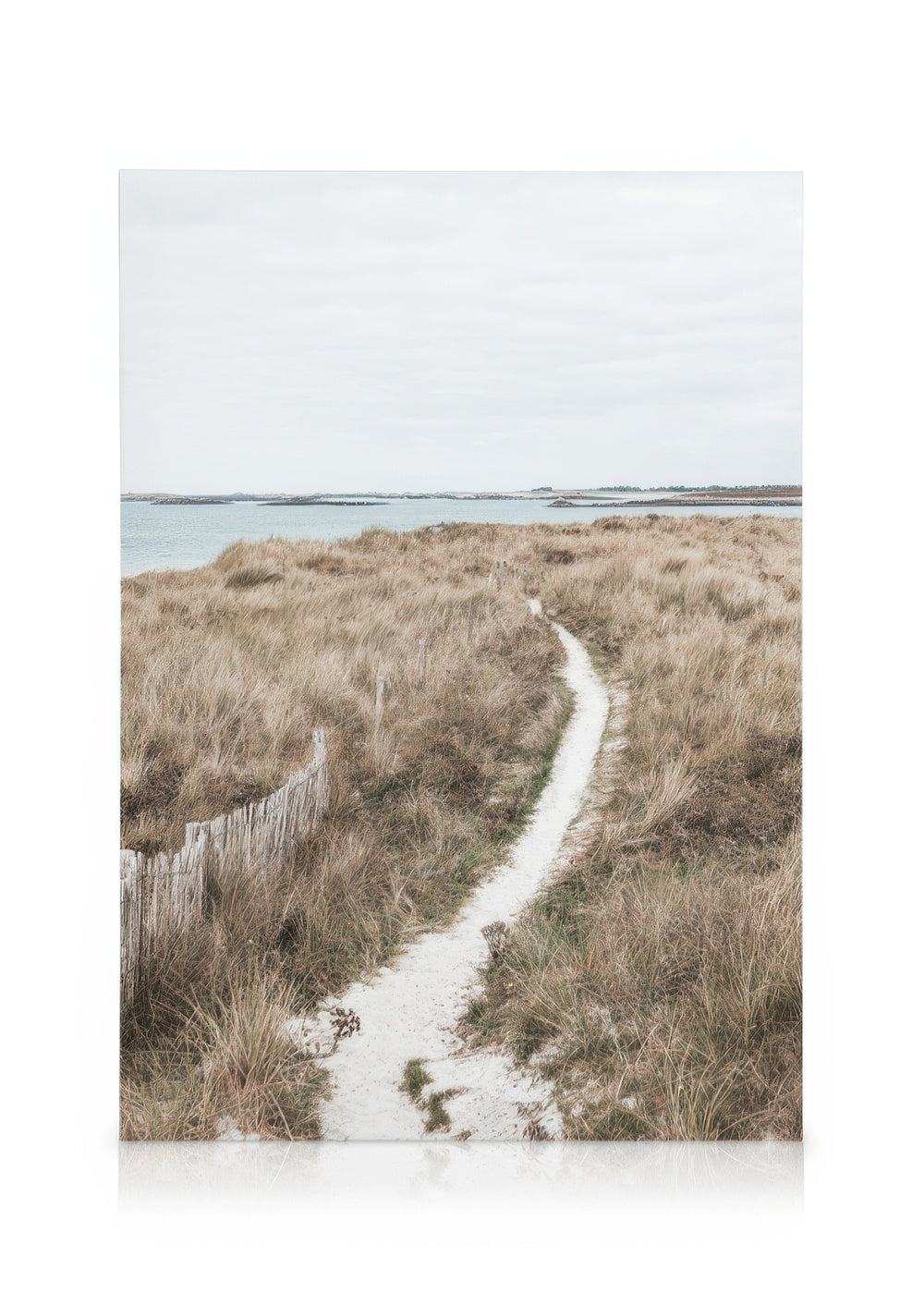 Pathway to the Sea Canvas print
