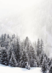 Frozen Forest Print