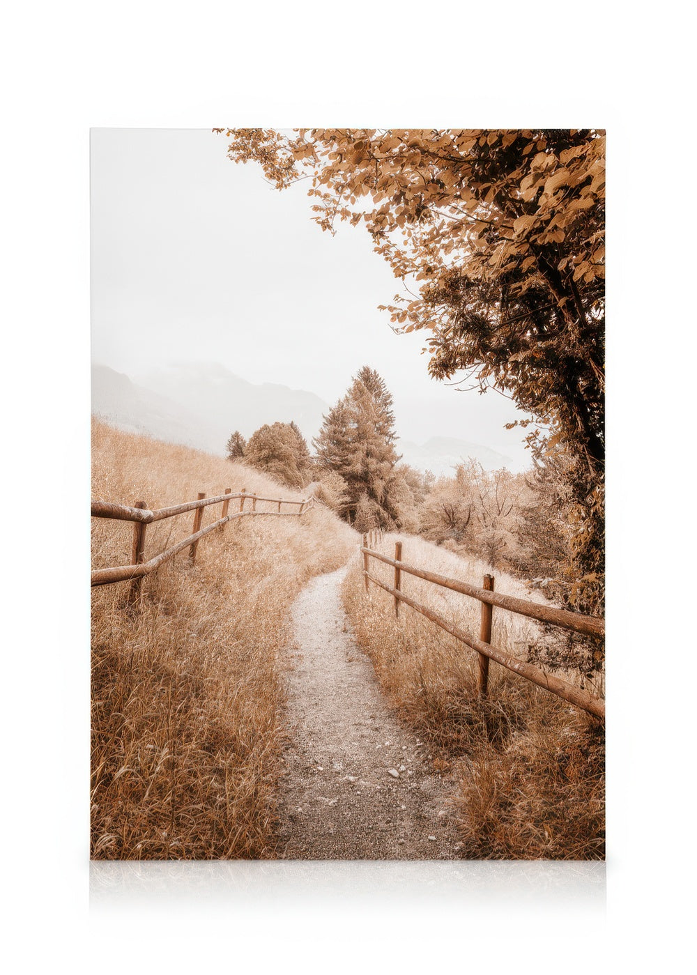 Path to Home Canvas print